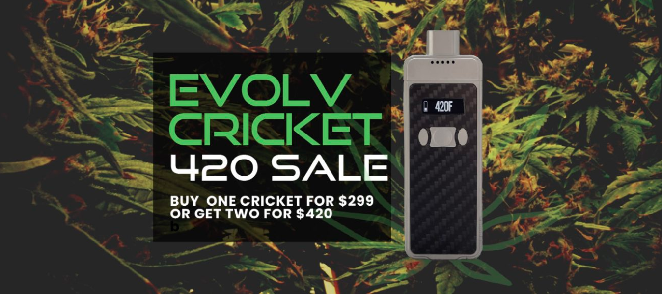 evolve cricket sale.png